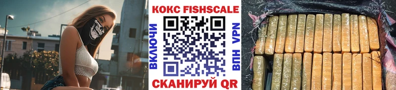 дарнет шоп  Ершов  Кокаин Fish Scale 