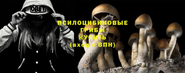 прущая мука Белоозёрский