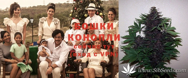 кокаин премиум Белокуриха