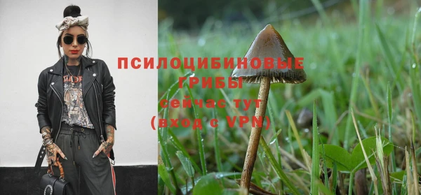 кокаин премиум Белокуриха
