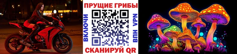 где купить MEGA ссылки Галлюциногенные грибы Psilocybe Ершов